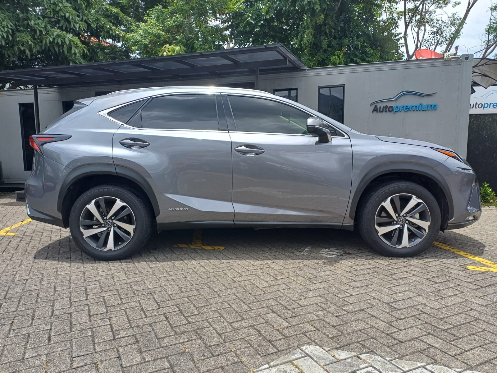 LEXUS NX300H