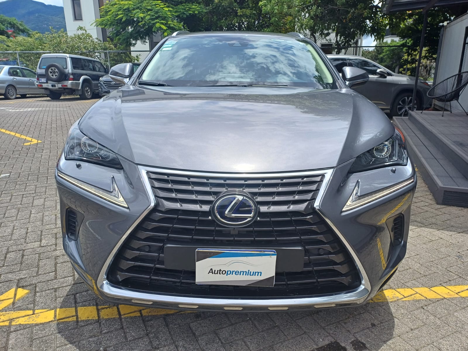 LEXUS NX300H