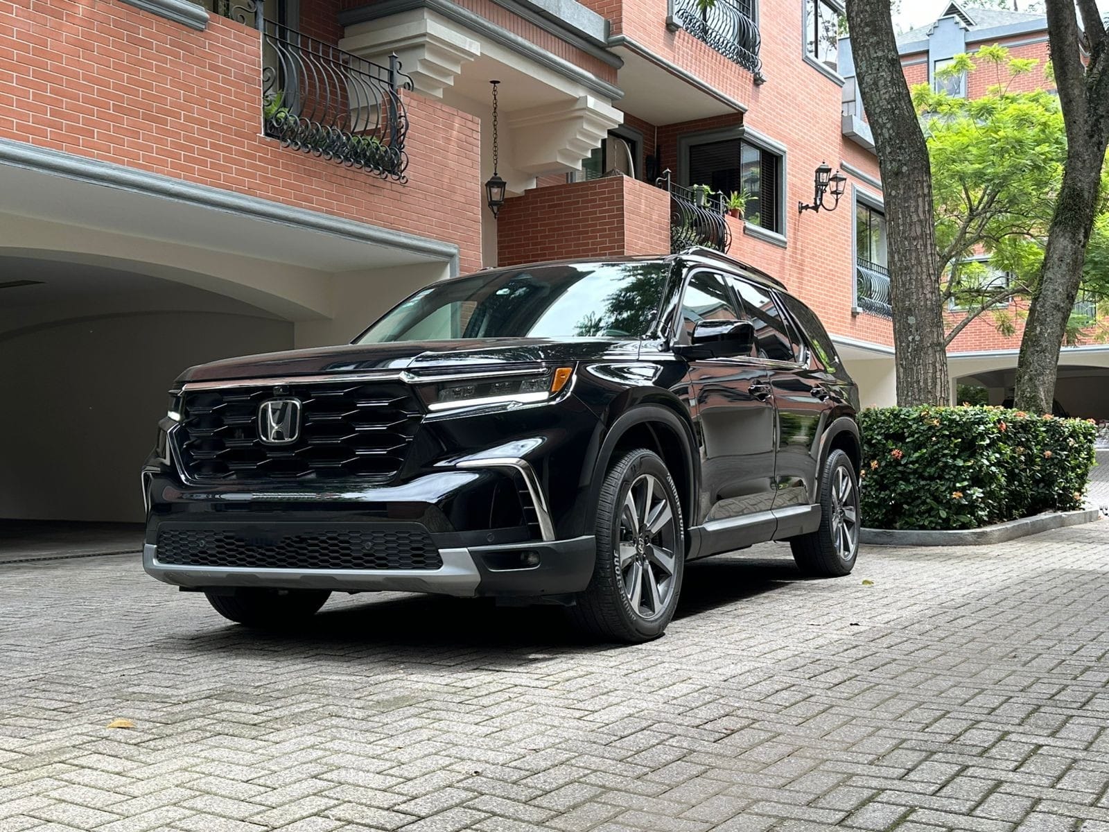 HONDA PILOT ELITE