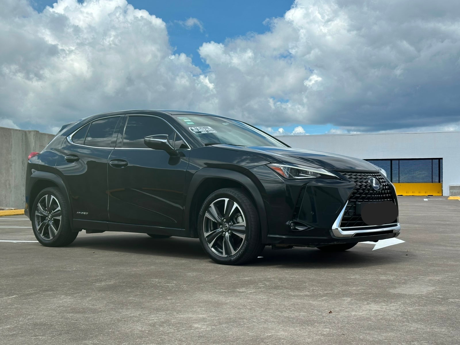 LEXUS UX250H